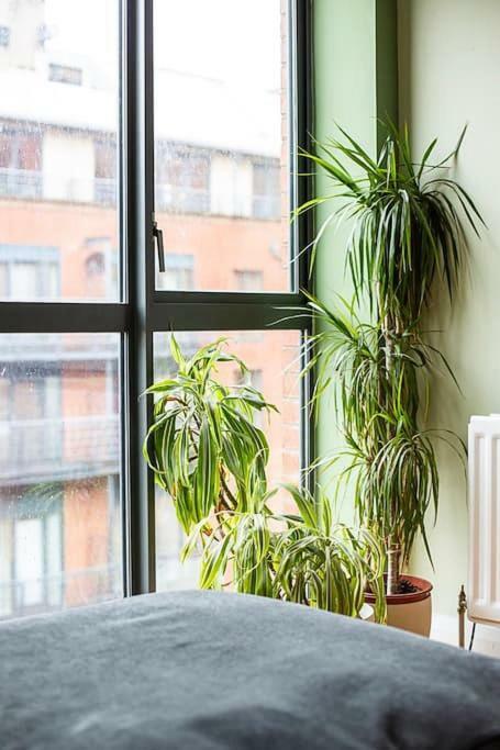 Spacious Belfast City Centre Duplex Apartment Luaran gambar